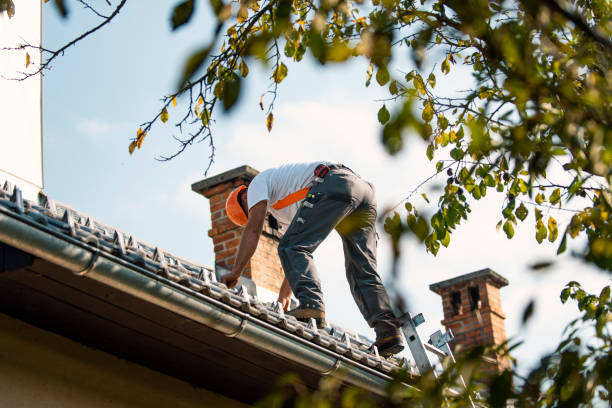 Best Shingle Roofing Installation  in Le Mars, IA