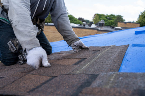 Best Commercial Roofing Services  in Le Mars, IA