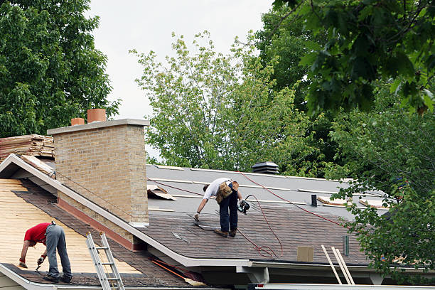 Best Affordable Roofing Company  in Le Mars, IA