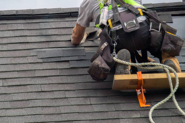 Best Storm Damage Roof Repair  in Le Mars, IA