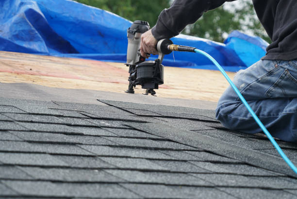 Professional Roofing Contractor in Le Mars, IA