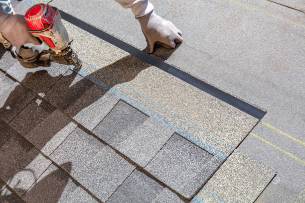 Best Roof Waterproofing Services  in Le Mars, IA