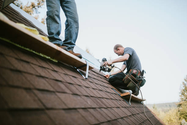 Best Commercial Roofing Services  in Le Mars, IA