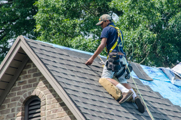 Quick and Trustworthy Emergency Roof Repair Services in Le Mars, IA